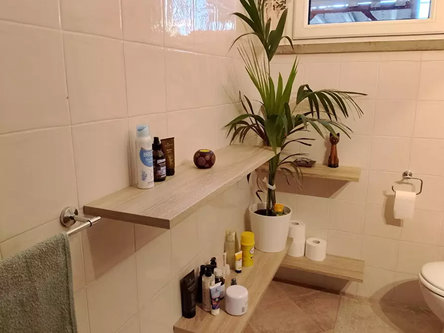 Immagine 16 di Appartamento in affitto  a Rosignano Marittimo