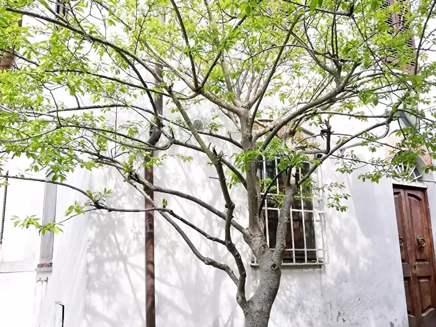Immagine 27 di Casa semindipendente in vendita  a Lucca