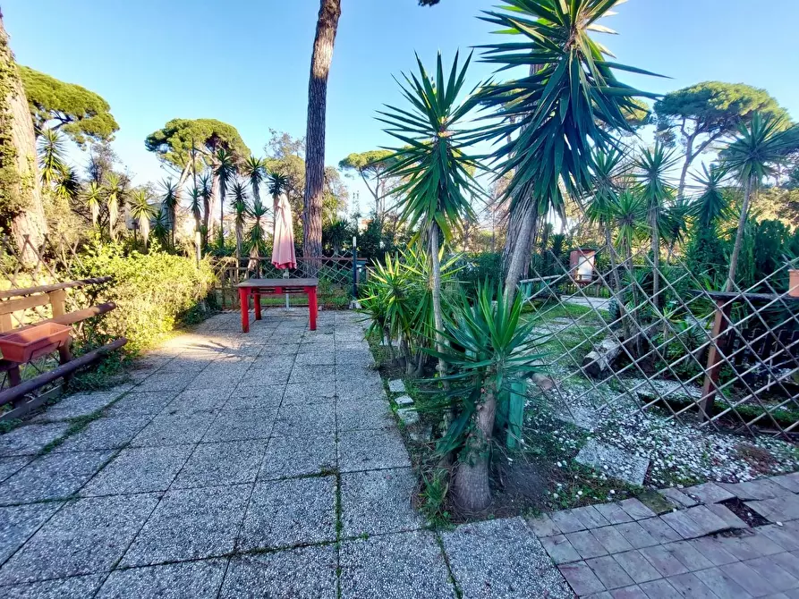 Immagine 21 di Locale commerciale in vendita  a Viareggio