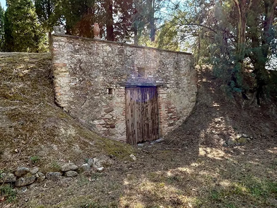 Immagine 44 di Casa colonica in vendita  a Volterra