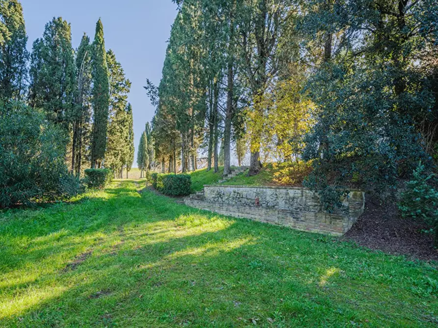 Immagine 15 di Casa colonica in vendita  a Volterra