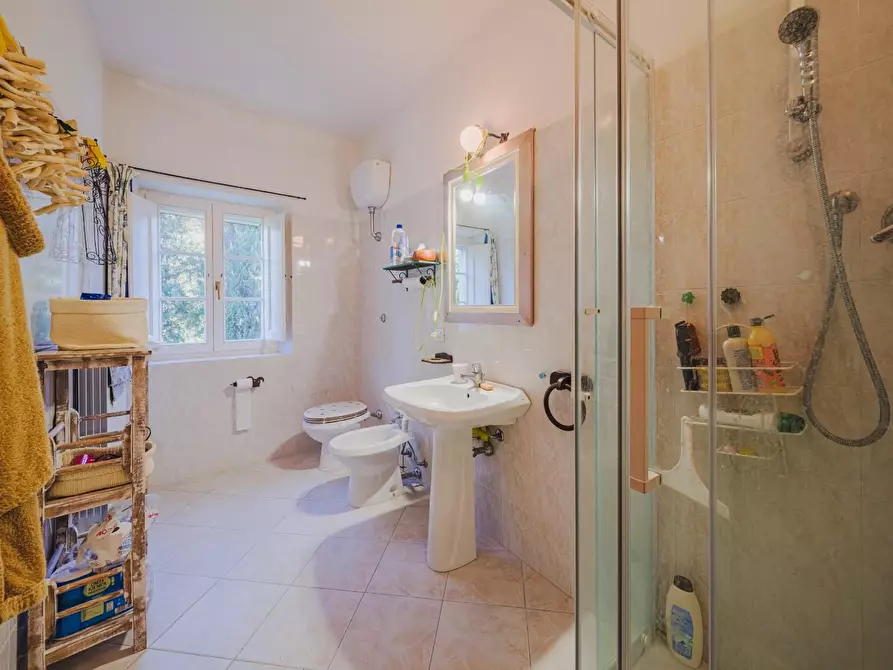 Immagine 29 di Casa colonica in vendita  a Volterra