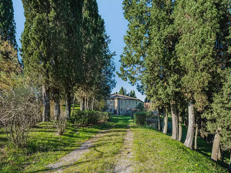 Immagine 18 di Casa colonica in vendita  a Volterra