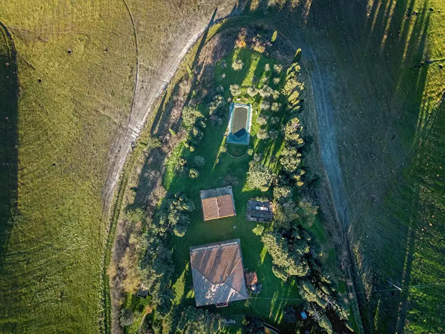 Immagine 6 di Casa colonica in vendita  a Volterra