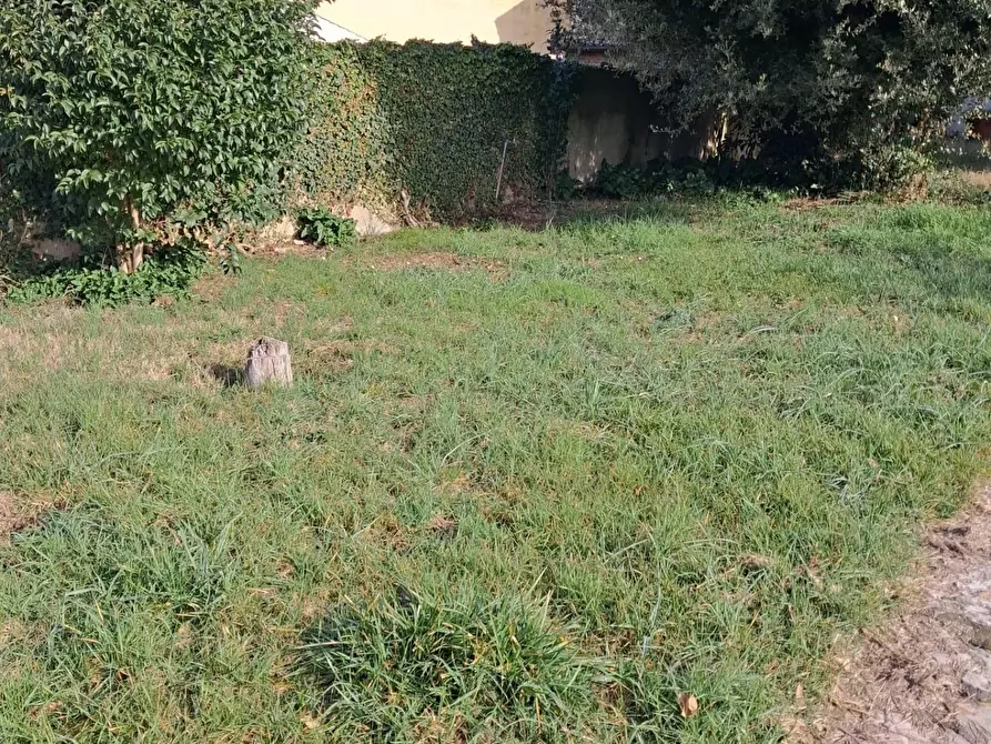 Immagine 29 di Appartamento in vendita  a Capannoli