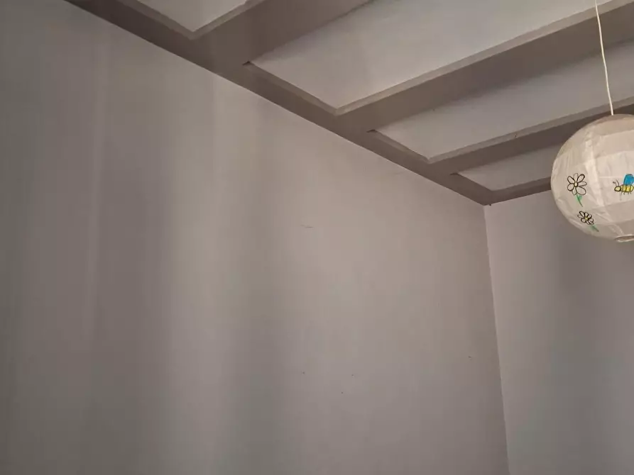Immagine 24 di Appartamento in vendita  a Capannoli