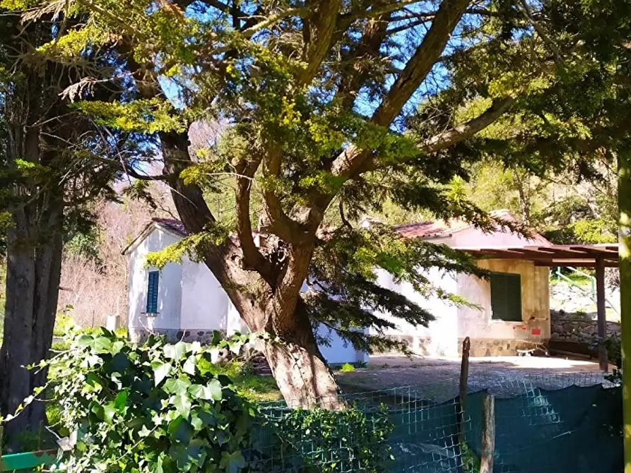 Immagine 11 di Casa indipendente in vendita  a Rio Marina