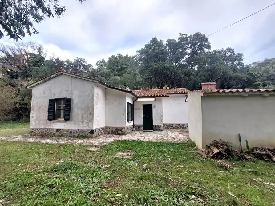 Immagine 2 di Casa indipendente in vendita  a Rio Marina