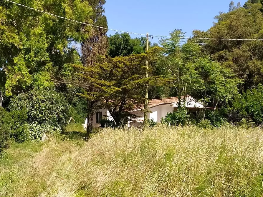 Immagine 12 di Casa indipendente in vendita  a Rio Marina