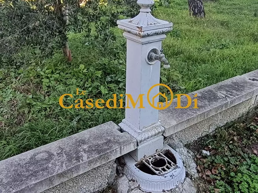 Immagine 17 di Casa bifamiliare in vendita  a Santa Luce