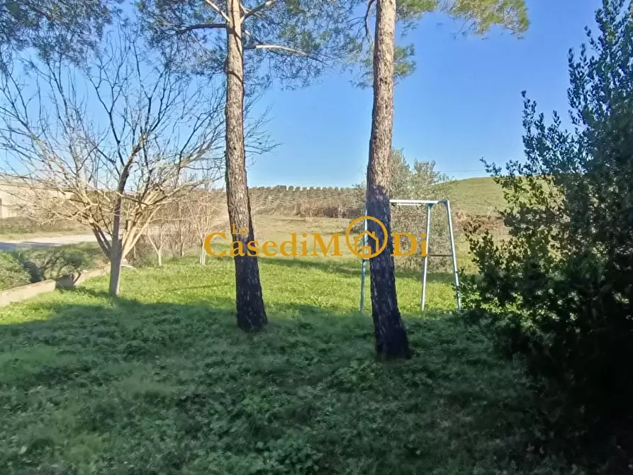 Immagine 11 di Casa bifamiliare in vendita  a Santa Luce