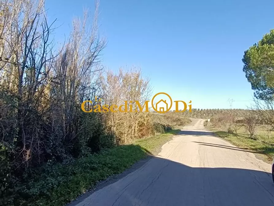 Immagine 19 di Casa bifamiliare in vendita  a Santa Luce