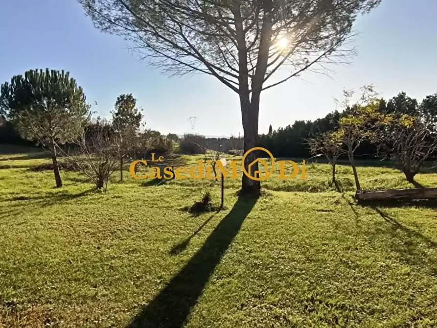 Immagine 13 di Casa bifamiliare in vendita  a Santa Luce