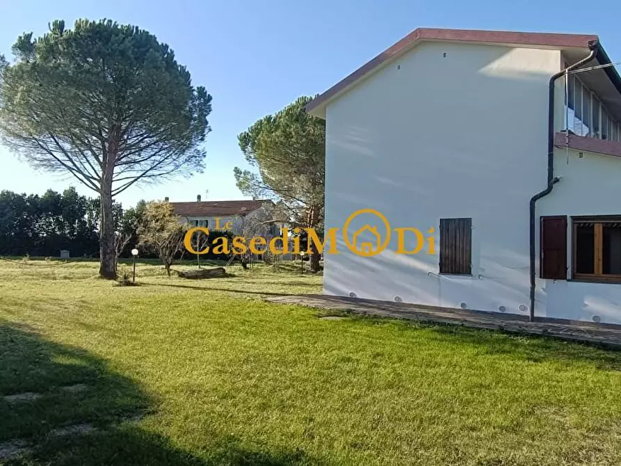 Immagine 5 di Casa bifamiliare in vendita  a Santa Luce