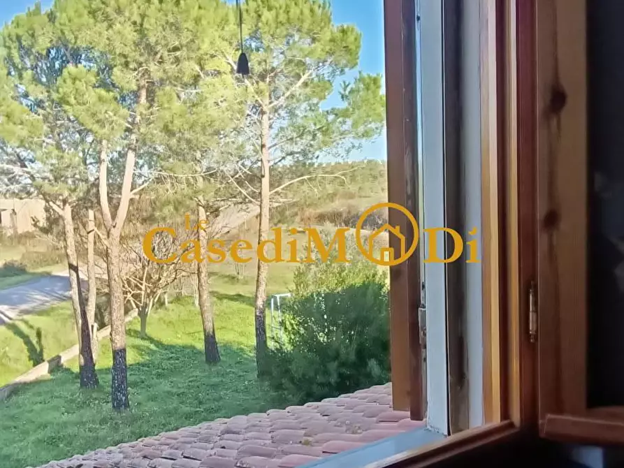 Immagine 67 di Casa bifamiliare in vendita  a Santa Luce