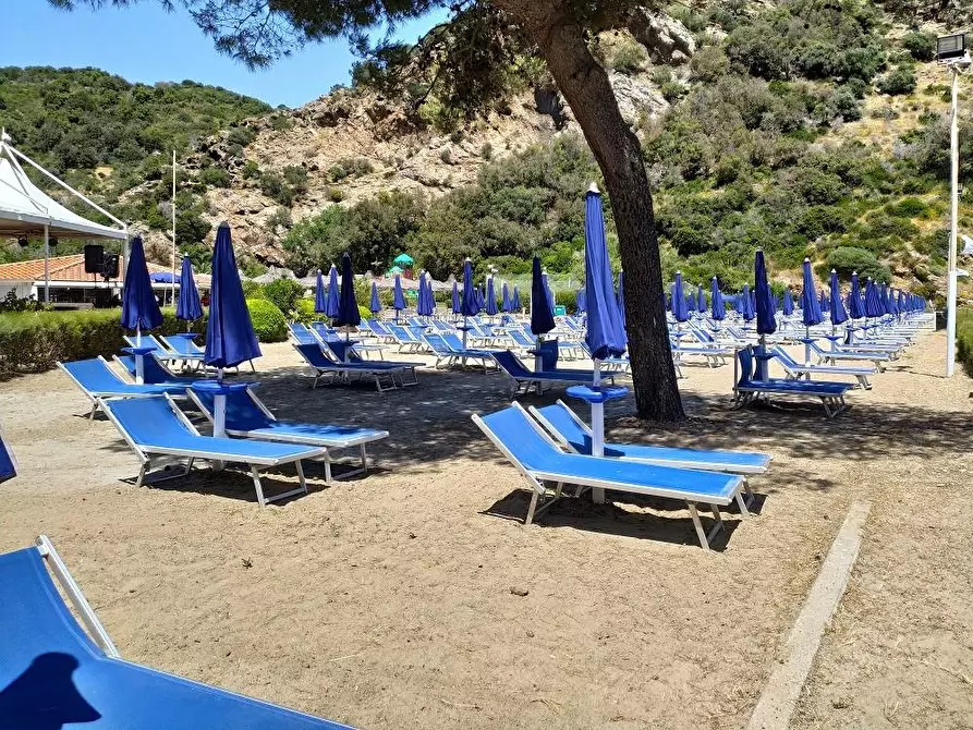 Immagine 20 di Appartamento in vendita  a Rio Marina