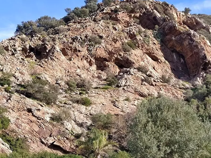 Immagine 17 di Appartamento in vendita  a Rio Marina