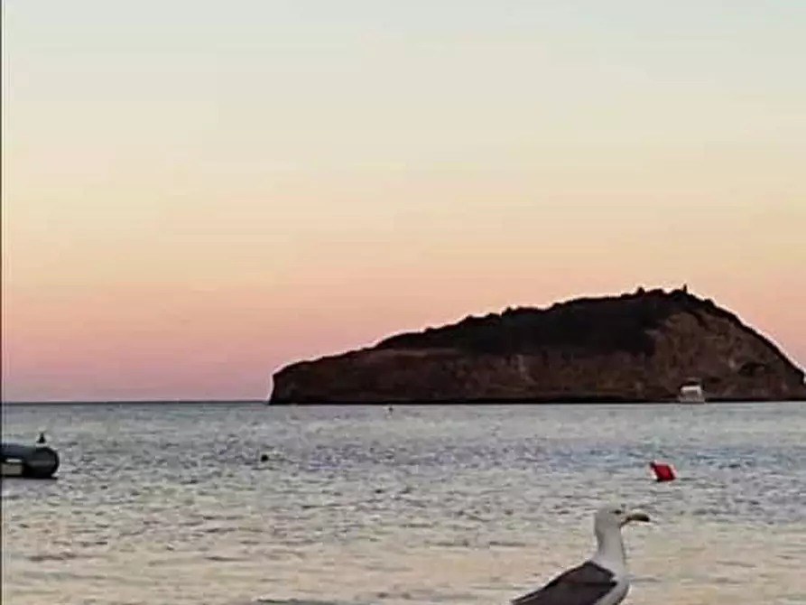 Immagine 21 di Appartamento in vendita  a Rio Marina