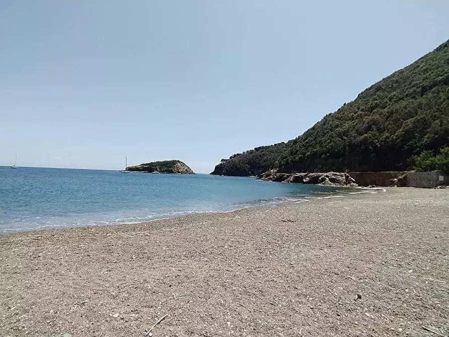 Immagine 14 di Appartamento in vendita  a Rio Marina