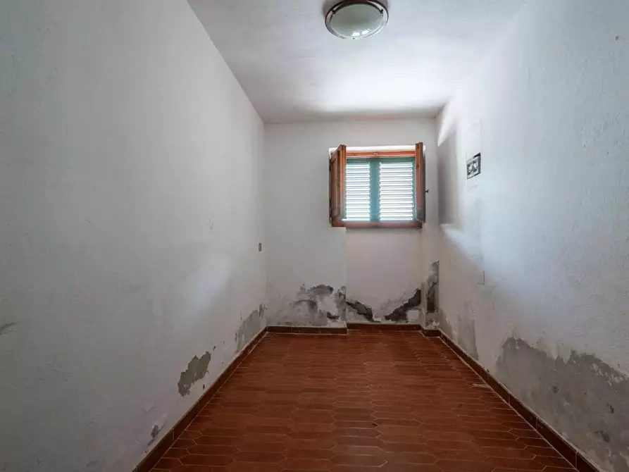 Immagine 46 di Casa indipendente in vendita  a Buti