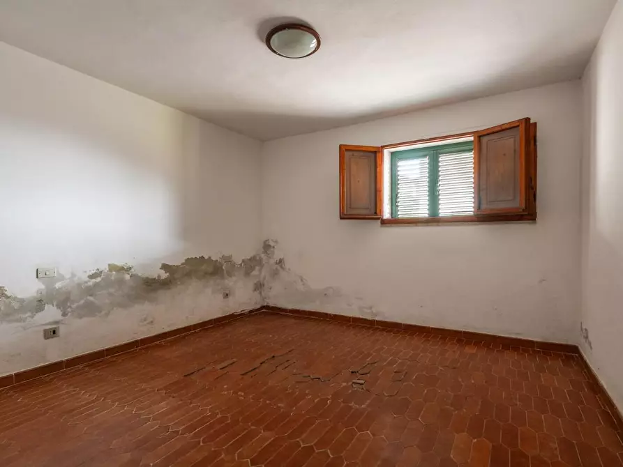 Immagine 45 di Casa indipendente in vendita  a Buti