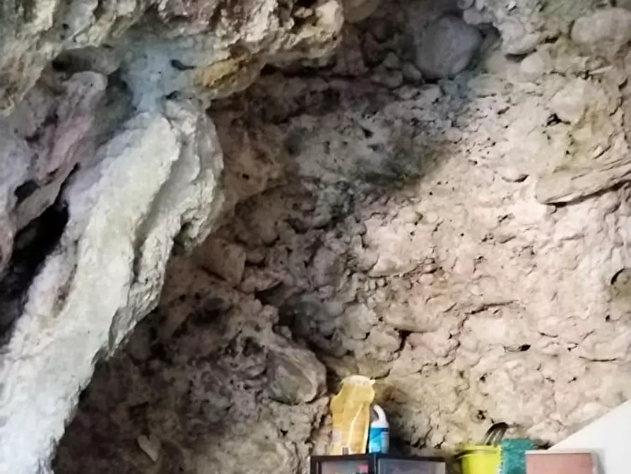 Immagine 18 di Appartamento in vendita  a Massa