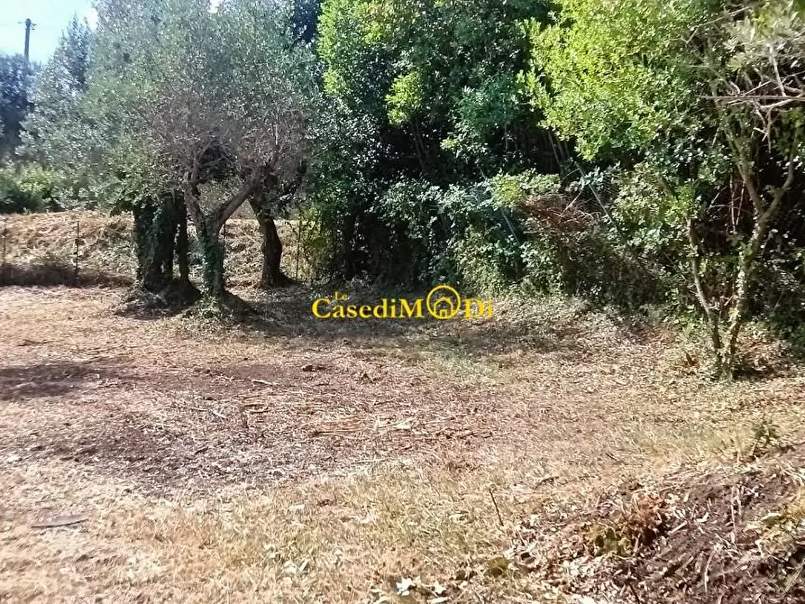 Immagine 5 di Terreno agricolo in vendita  a Livorno