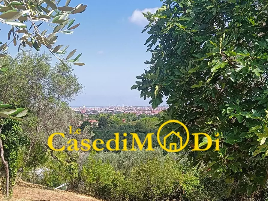 Immagine 7 di Terreno agricolo in vendita  a Livorno