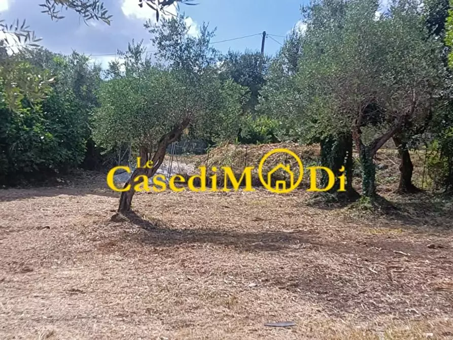 Immagine 3 di Terreno agricolo in vendita  a Livorno