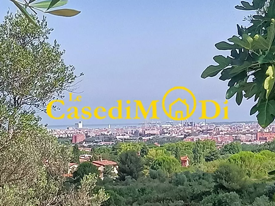 Immagine 9 di Terreno agricolo in vendita  a Livorno