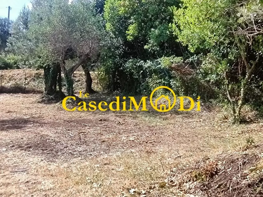 Immagine 2 di Terreno agricolo in vendita  a Livorno