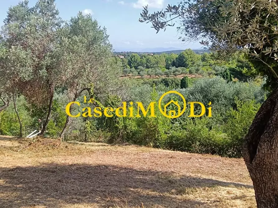 Immagine 4 di Terreno agricolo in vendita  a Livorno