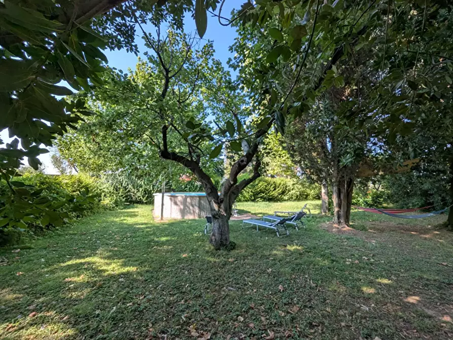 Immagine 29 di Rustico / casale in vendita  a Campagnatico