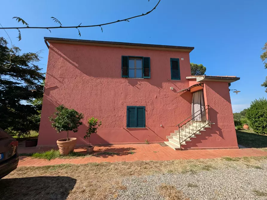 Immagine 19 di Rustico / casale in vendita  a Campagnatico