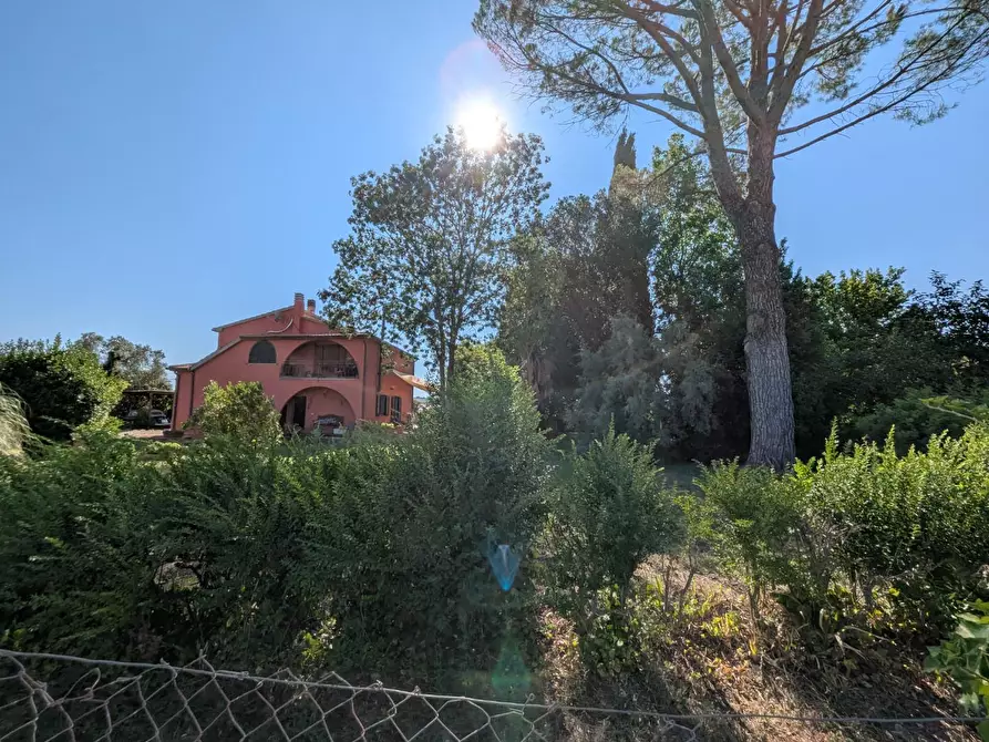 Immagine 23 di Rustico / casale in vendita  a Campagnatico