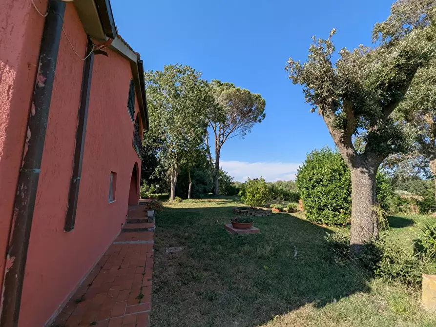 Immagine 25 di Rustico / casale in vendita  a Campagnatico
