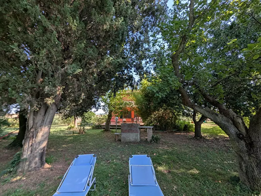 Immagine 30 di Rustico / casale in vendita  a Campagnatico