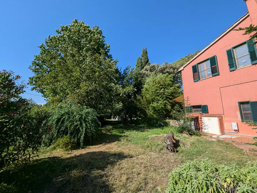 Immagine 28 di Rustico / casale in vendita  a Campagnatico