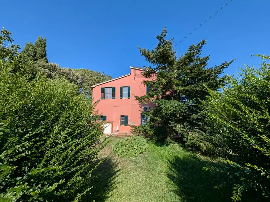 Immagine 27 di Rustico / casale in vendita  a Campagnatico