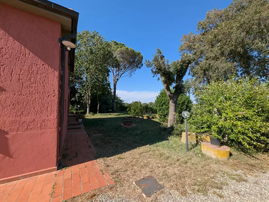 Immagine 20 di Rustico / casale in vendita  a Campagnatico