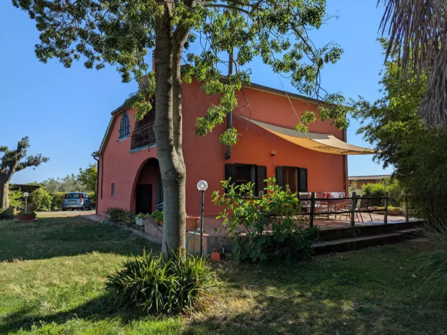 Immagine 31 di Rustico / casale in vendita  a Campagnatico