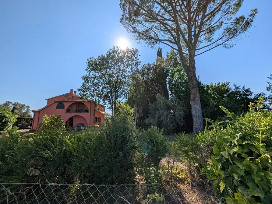 Immagine 24 di Rustico / casale in vendita  a Campagnatico