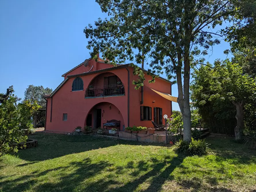 Immagine 32 di Rustico / casale in vendita  a Campagnatico