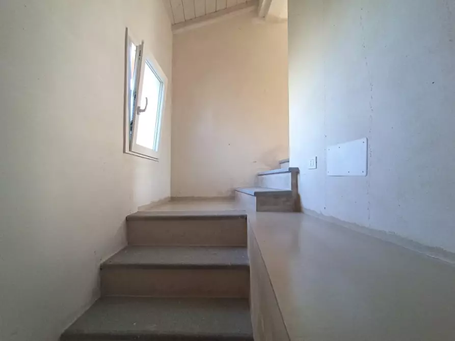 Immagine 15 di Terratetto in vendita  a San Giuliano Terme