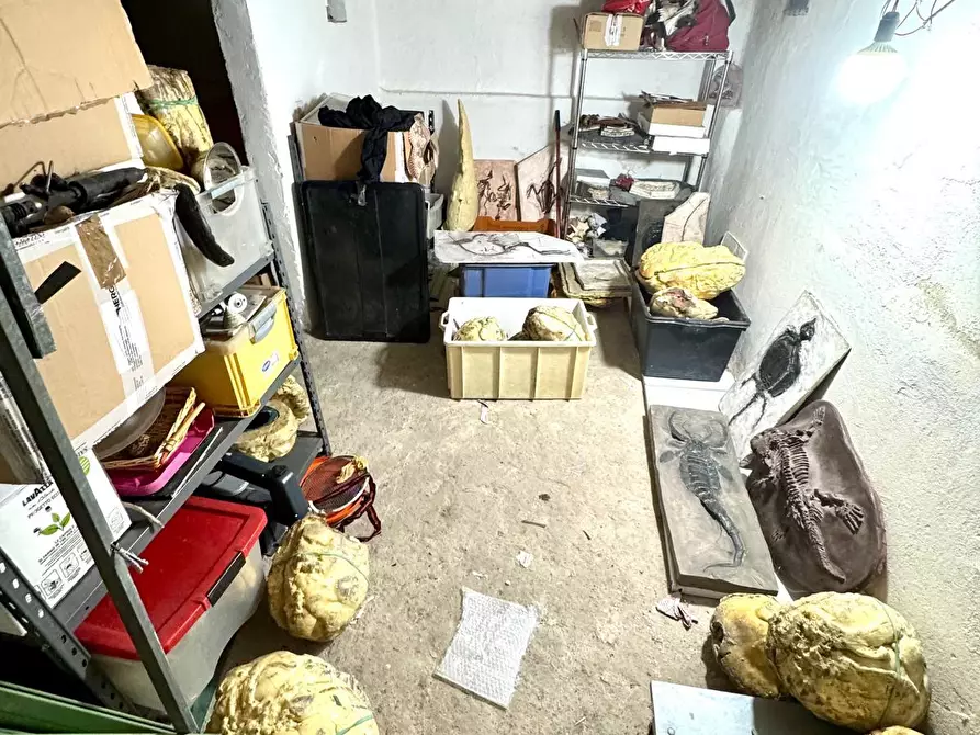 Immagine 40 di Appartamento in vendita  a Empoli