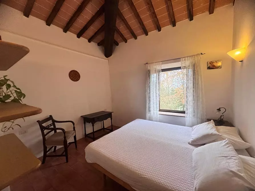 Immagine 6 di Appartamento in vendita  a Casole D'elsa