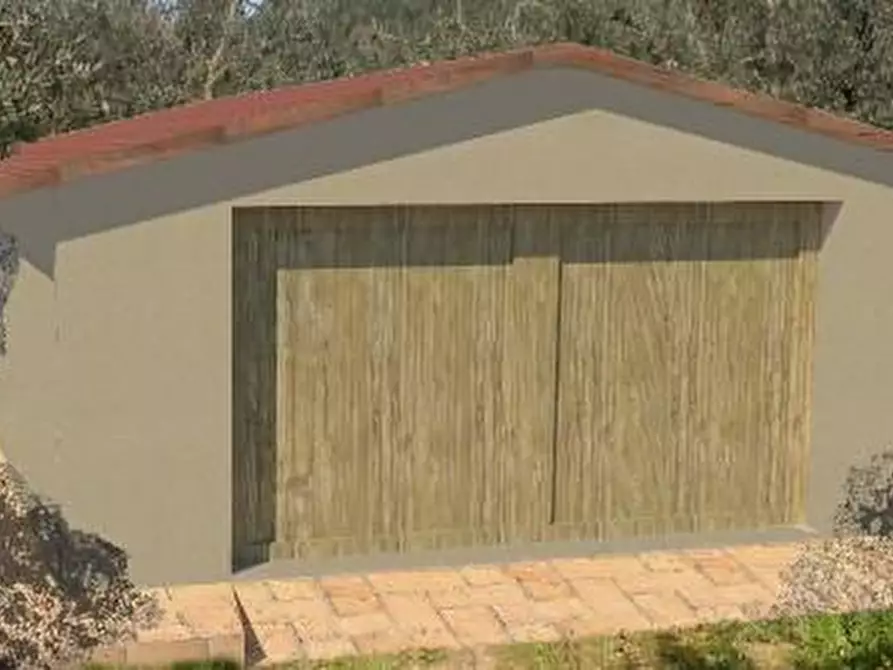 Immagine 3 di Terreno agricolo in vendita  a Vinci