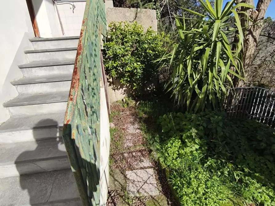 Immagine 22 di Terratetto in vendita  a Peccioli