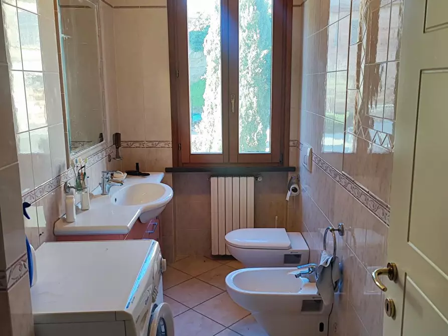 Immagine 25 di Terratetto in vendita  a Peccioli