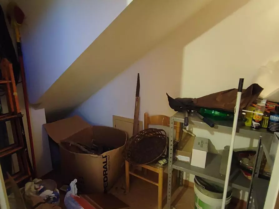 Immagine 28 di Terratetto in vendita  a Peccioli